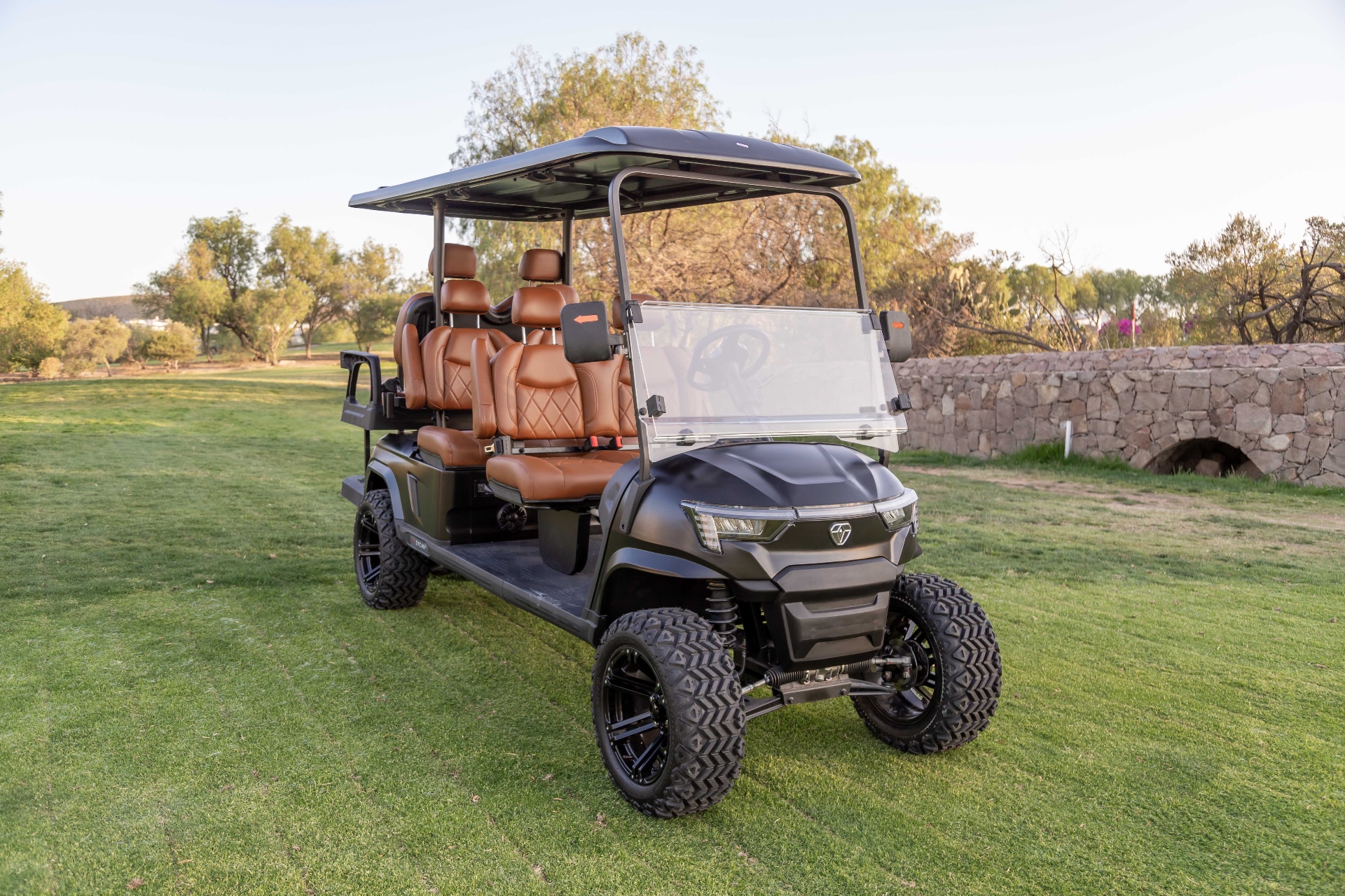 Zycar Baja premium electric golf cart with leather seats